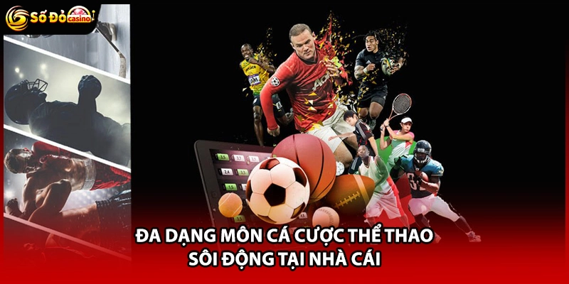 Thể Thao Sodo66 - Danh Mục Giải Trí Hấp Dẫn, Thưởng Lớn - Minoxe
