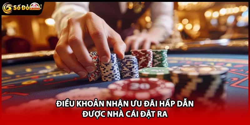 Điều Khoản Và Điều Kiện Sodo66 - 5 Quy Định Chi Tiết - Minoxe