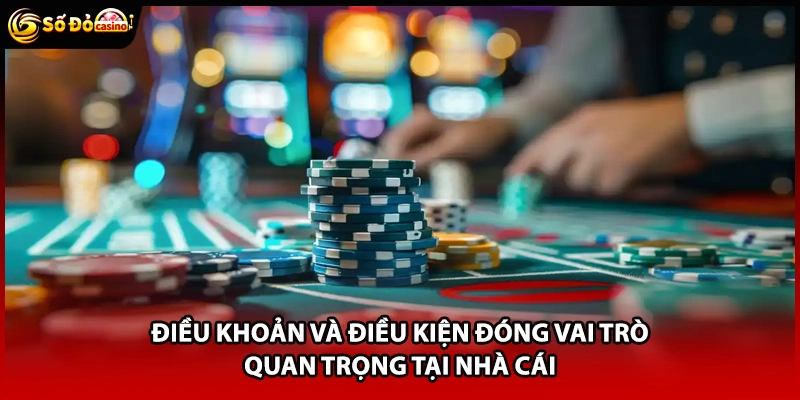 Điều Khoản Và Điều Kiện Sodo66 - 5 Quy Định Chi Tiết - Minoxe