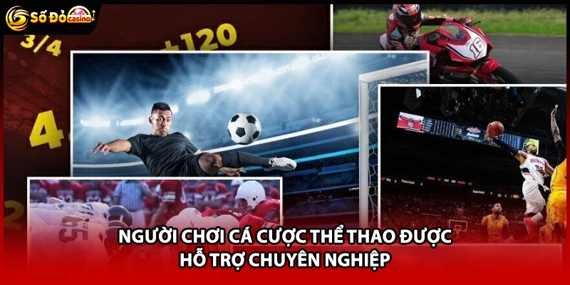 Thể Thao Sodo66 - Danh Mục Giải Trí Hấp Dẫn, Thưởng Lớn - Minoxe